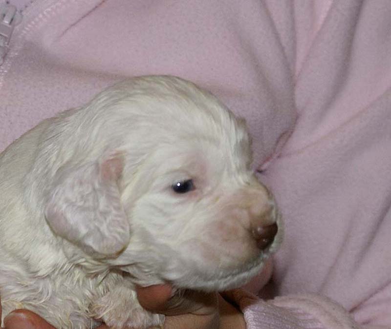 Boy_Green_Back_3weeks_b