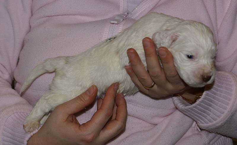 Boy_Green_Back_3weeks_d