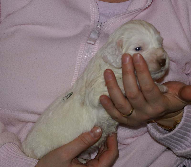 Boy_Green_Back_3weeks_e