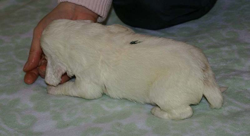 Boy_Green_Back_3weeks_f