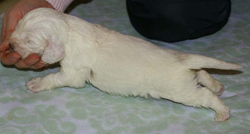 Boy_Green_Back_3weeks_h