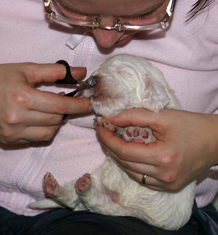 Boy_Green_Back_3weeks_in_manicure