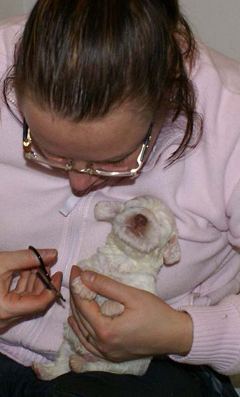 Boy_Green_Back_3weeks_in_manicure_c