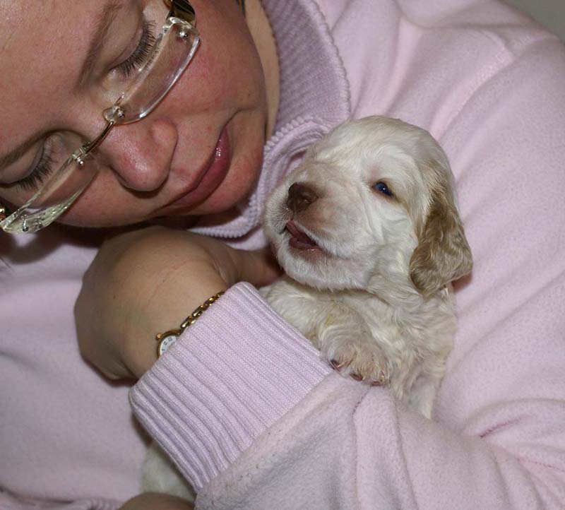 Boy_Pink_Head_3weeks_d