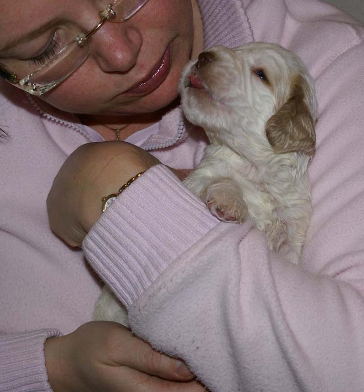 Boy_Pink_Head_3weeks_f