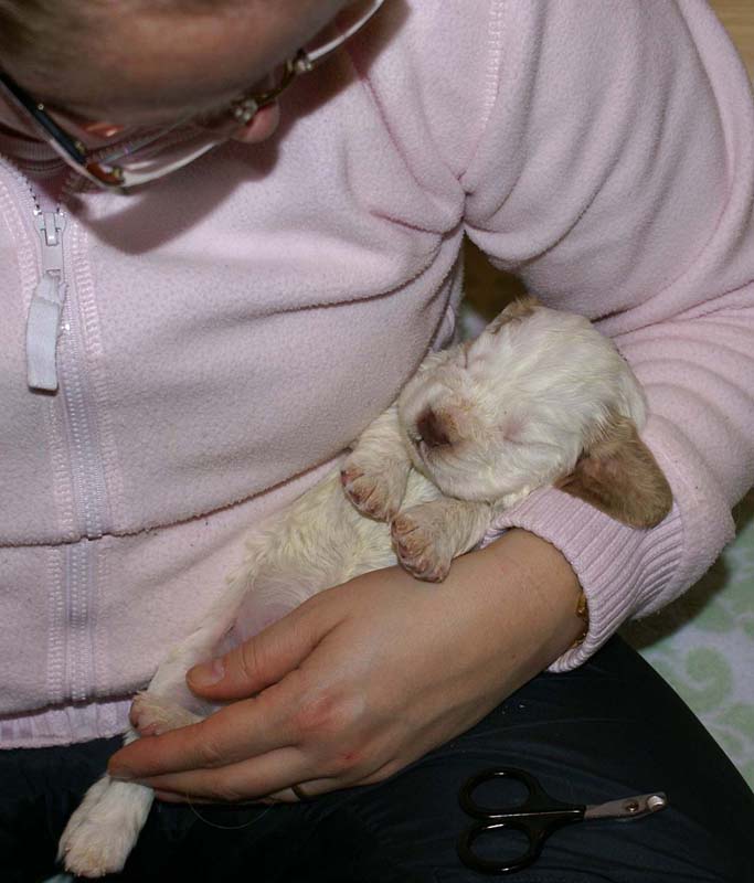 Boy_Purple_Head_3weeks_nails_done_b
