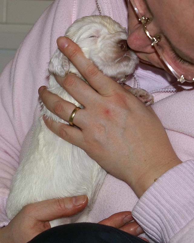 Girl_Pink_Tail_3weeks_e