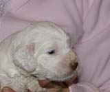 Boy_Green_Back_3weeks_b