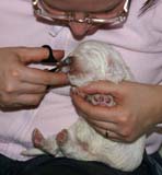 Boy_Green_Back_3weeks_in_manicure