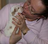 Boy_Purple_Head_3weeks_c