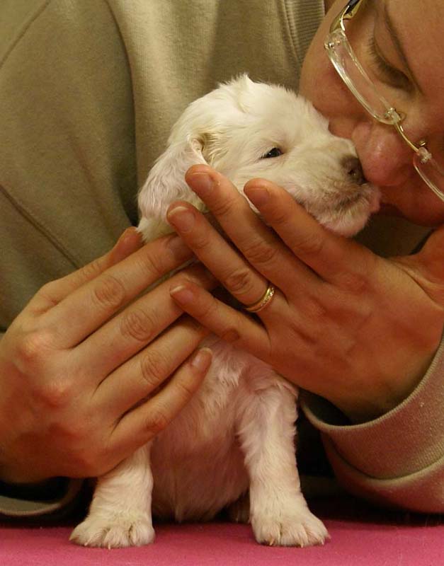 Spice_Twice_Queen_Guinevere_4weeks_c