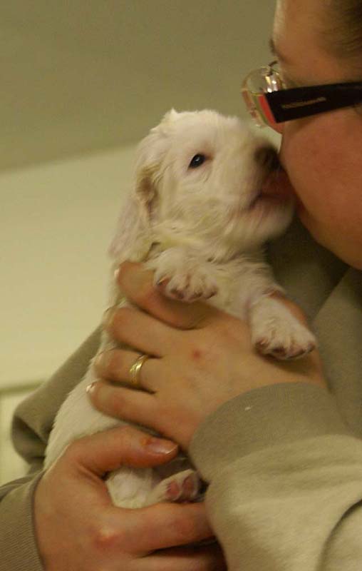 Spice_Twice_Queen_Guinevere_4weeks_g