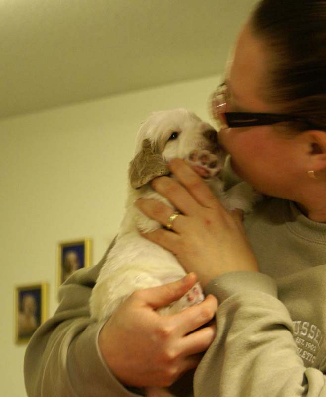 Spice_Twice_Sir_Galahad_4weeks_j