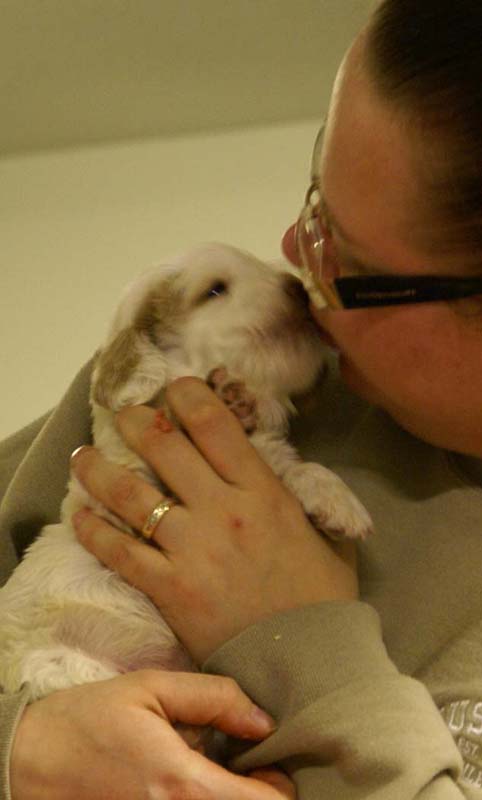 Spice_Twice_Sir_Lancelot_4weeks_e