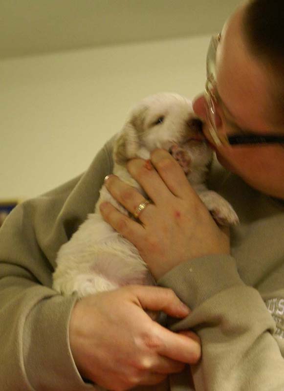 Spice_Twice_Sir_Lancelot_4weeks_f