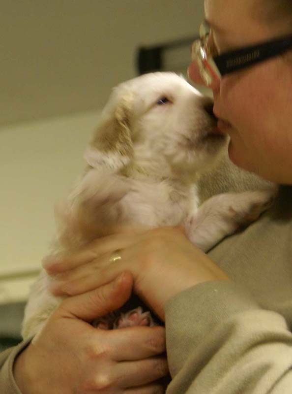 Spice_Twice_Sir_Tristan_4weeks_d