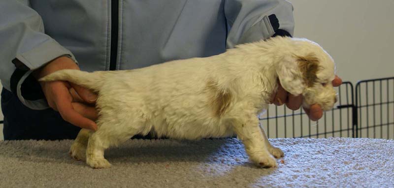 Spice_Twice_Morgan_Le_Fay_5weeks_f