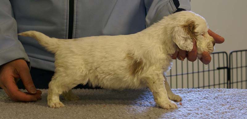 Spice_Twice_Morgan_Le_Fay_5weeks_j