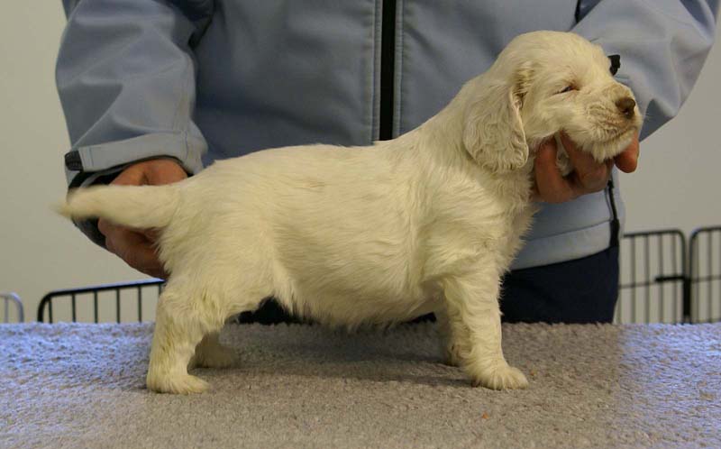 Spice_Twice_Queen_Guinevere_5weeks_g