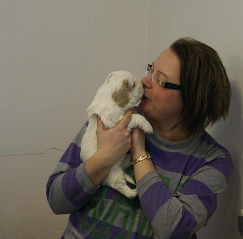 a_Windy_Fraser_puppies_5weeks_b