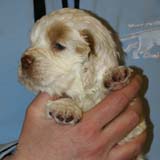 Spice_Twice_Morgan_Le_Fay_5weeks_i