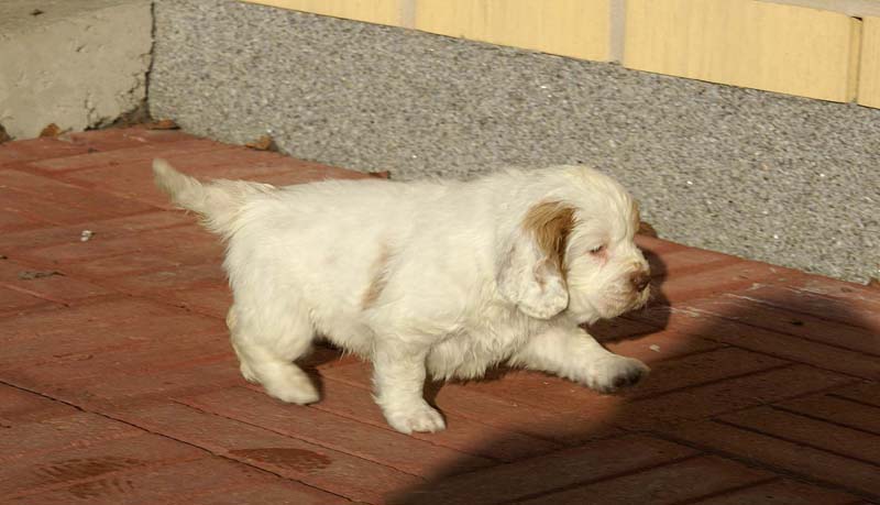 Spice_Twice_Morgan_Le_Fay_6weeks_e