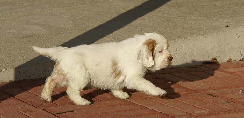 Spice_Twice_Morgan_Le_Fay_6weeks_f