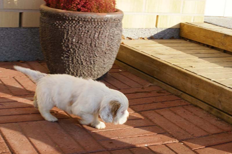 Spice_Twice_Morgan_Le_Fay_6weeks_h