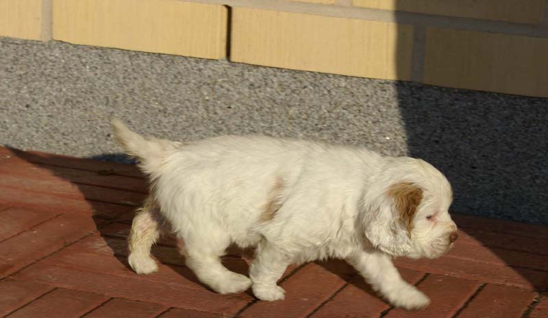 Spice_Twice_Morgan_Le_Fay_6weeks_i