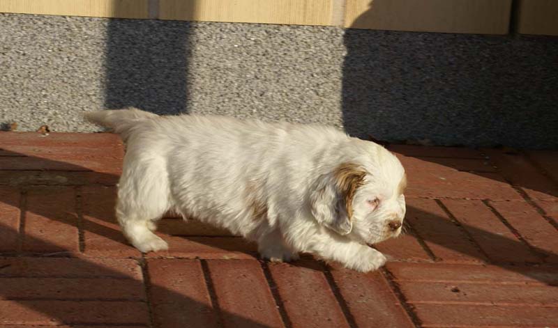 Spice_Twice_Morgan_Le_Fay_6weeks_j