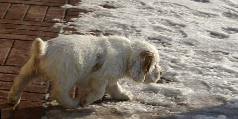 Spice_Twice_Morgan_Le_Fay_6weeks_k