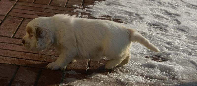 Spice_Twice_Morgan_Le_Fay_6weeks_l