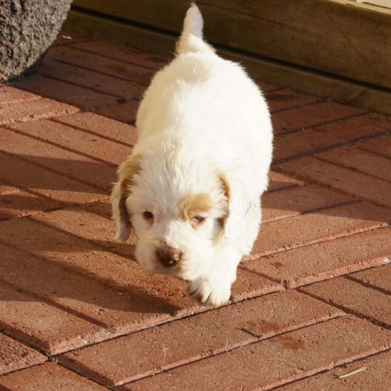 Spice_Twice_Morgan_Le_Fay_6weeks_m