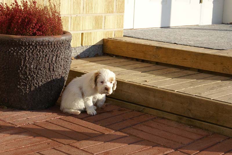 Spice_Twice_Morgan_Le_Fay_6weeks_n