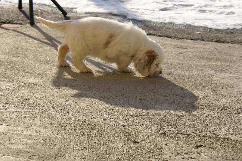 Spice_Twice_Morgan_Le_Fay_6weeks_o