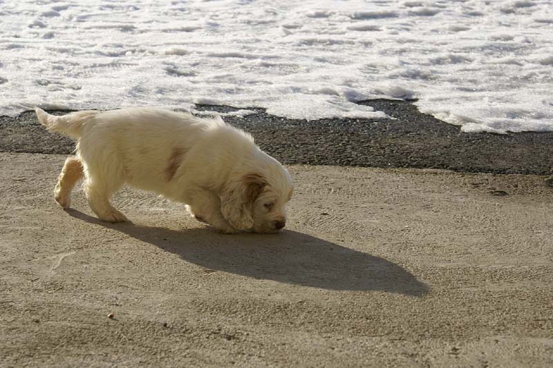 Spice_Twice_Morgan_Le_Fay_6weeks_q