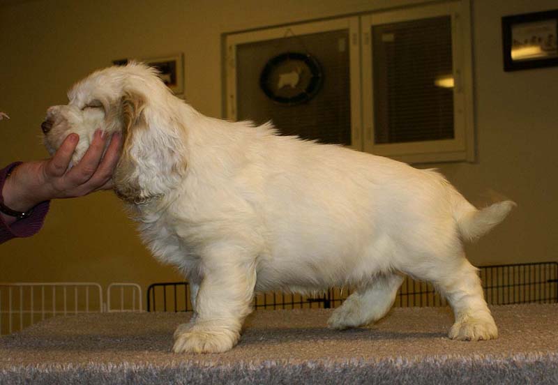 ST_Sir_Galahad_7weeks_k