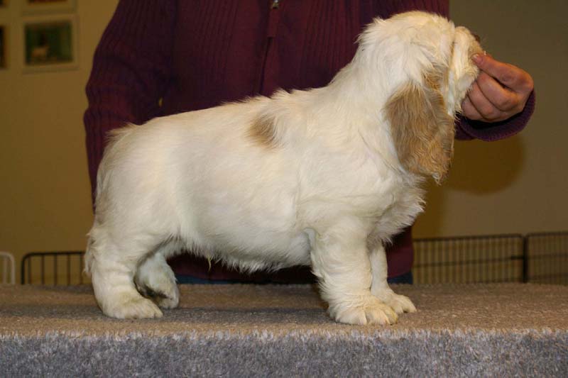 ST_Sir_Galahad_7weeks_l