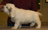 ST_Sir_Galahad_7weeks_j