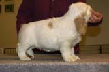 ST_Sir_Galahad_7weeks_l