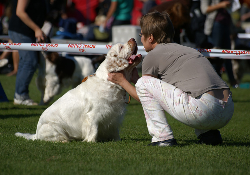 Zorro_14Sept2013_vvv