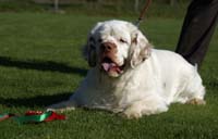 Zorro_14Sept2013_y_q