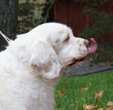 a_Chelsea_10th_Birthday_g