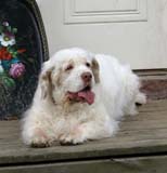 a_Chelsea_10th_Birthday_l