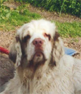 CLICK TO VIEW LARGER PICTURE