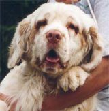 CLICK TO VIEW LARGER PICTURE