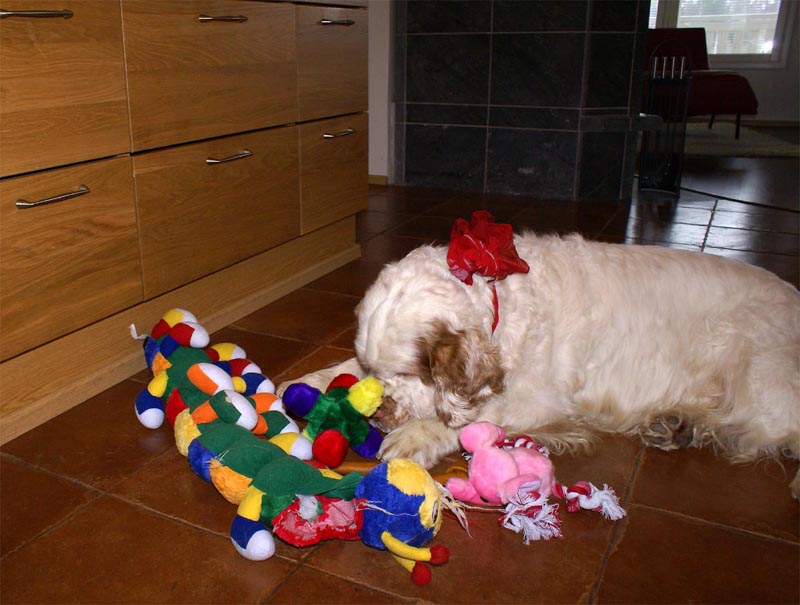 Funky_8th_Birthday_a