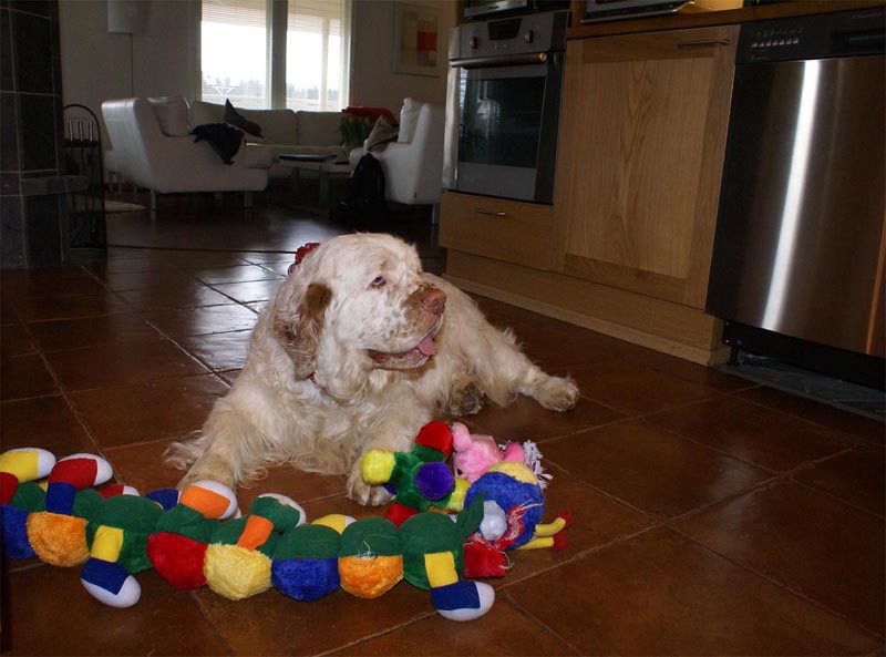 Funky_8th_Birthday_b