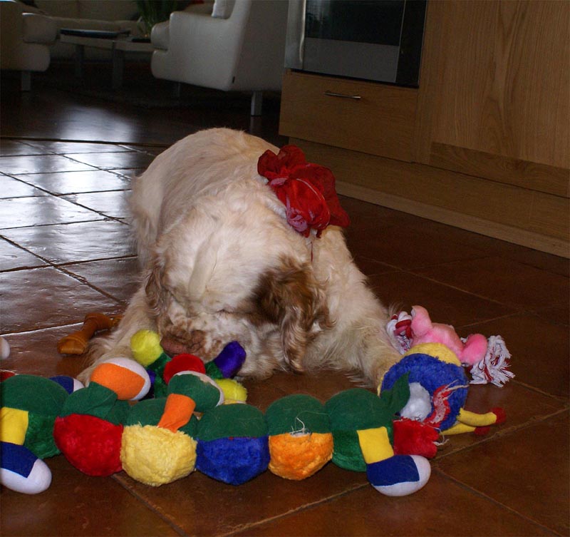 Funky_8th_Birthday_d