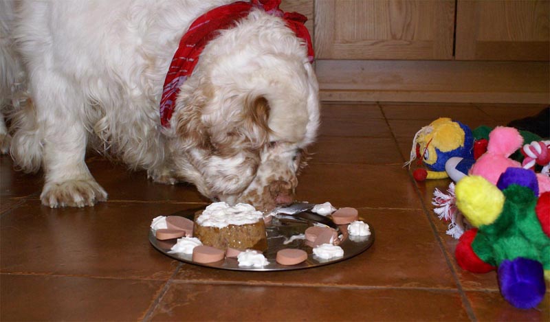 Funky_8th_Birthday_e